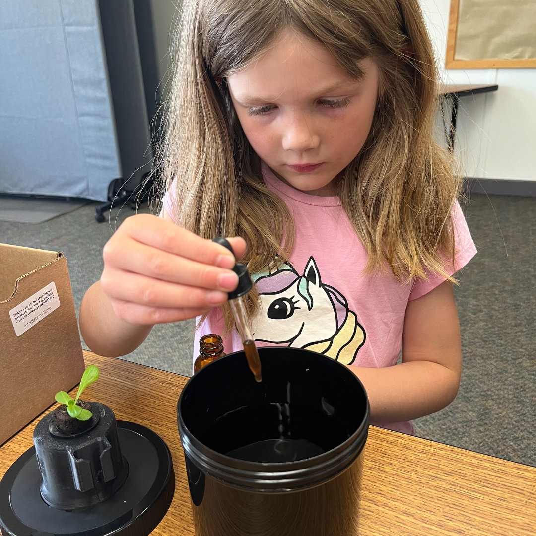 STEM projects